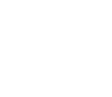 Nauto
